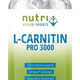 Acetyl L-Carnitin 3000